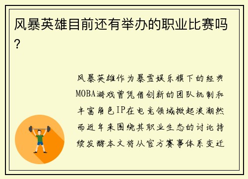 风暴英雄目前还有举办的职业比赛吗？