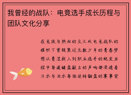 我曾经的战队：电竞选手成长历程与团队文化分享